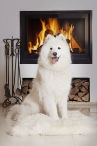 Fireplace Safety Tips - Milford CT - The Cozy Flame