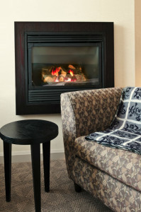 Thermo-Right Fireplace Doors - Milford CT-The Cozy Flame-w800-h800