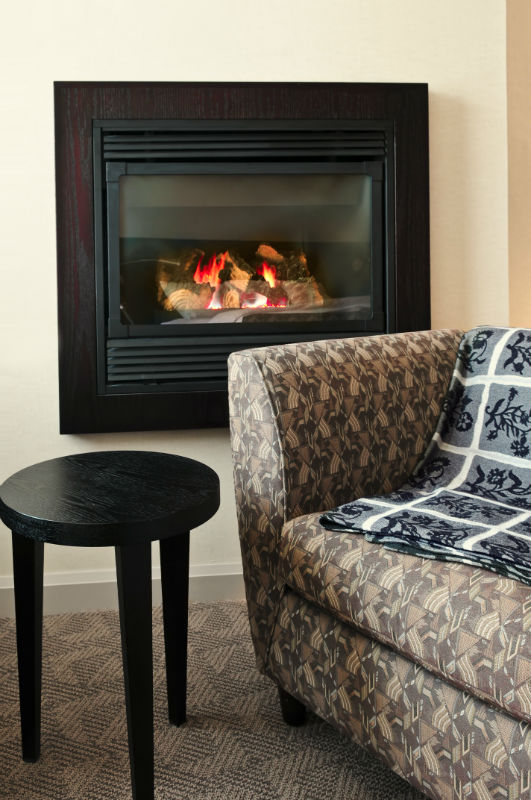 Why We Only Carry Thermo-Right Fireplace Doors